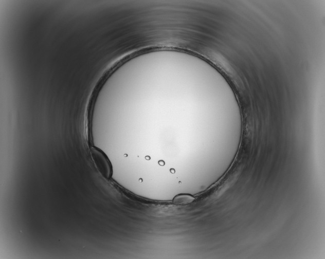 X0000089830940200707191823