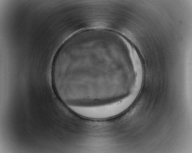 X0000089830941200707191823