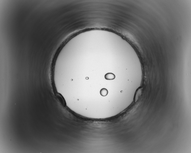 X0000089830942200707191823