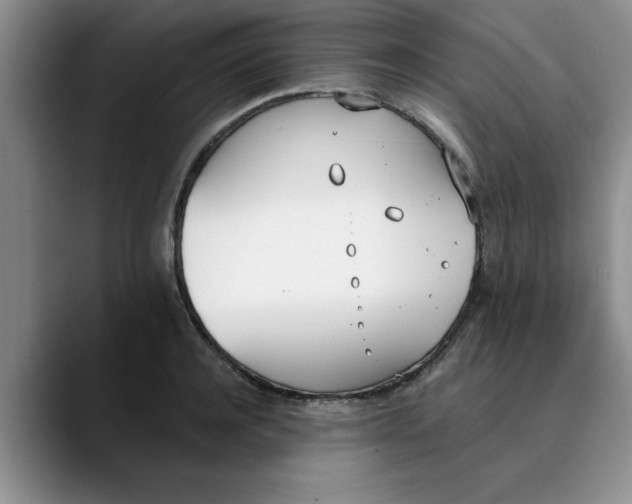 X0000089830944200707191823