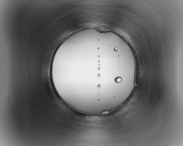 X0000089830946200707191823