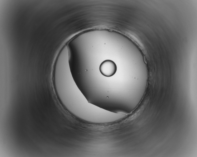 X0000089830948200707191823