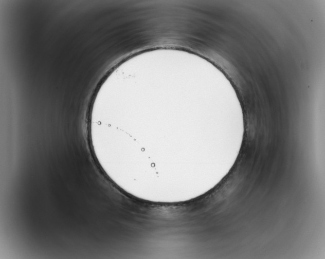 X0000089830950200707191823