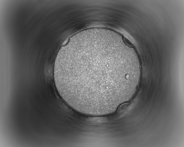 X0000089830953200707191823