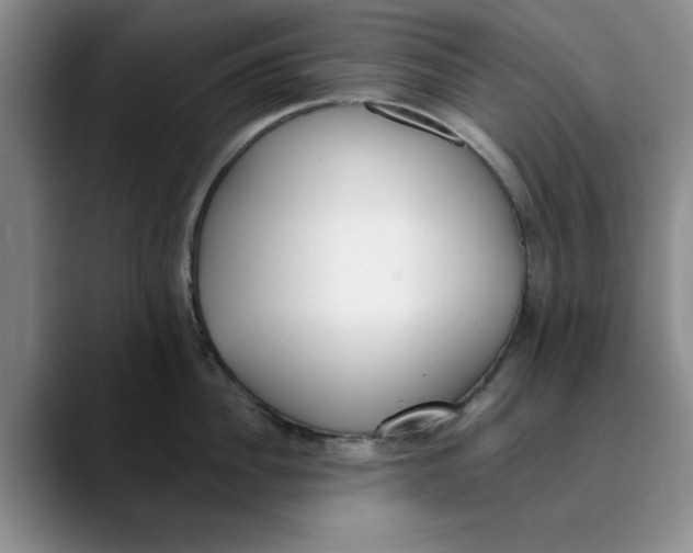 X0000089830956200707191823