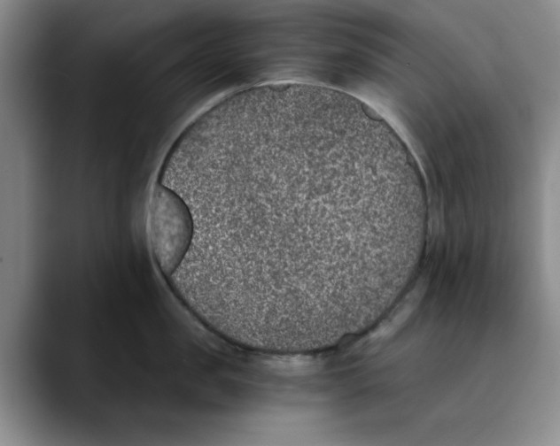 X0000089830957200707191823