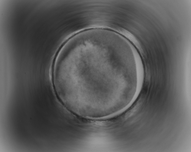 X0000089830958200707191823