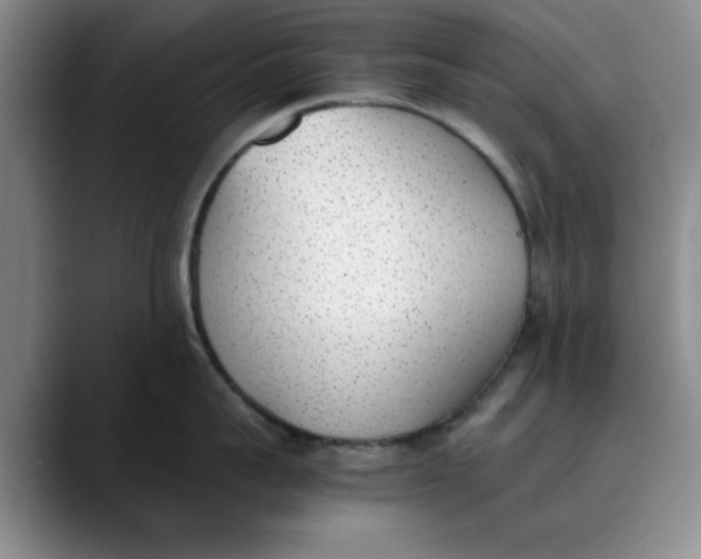 X0000089830959200707191823