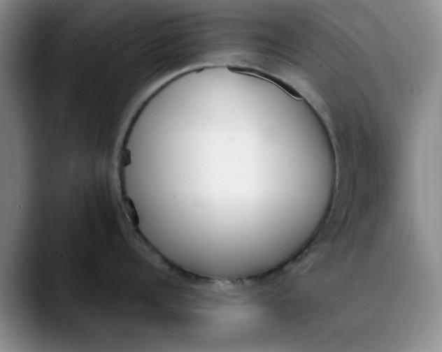 X0000089830960200707191824