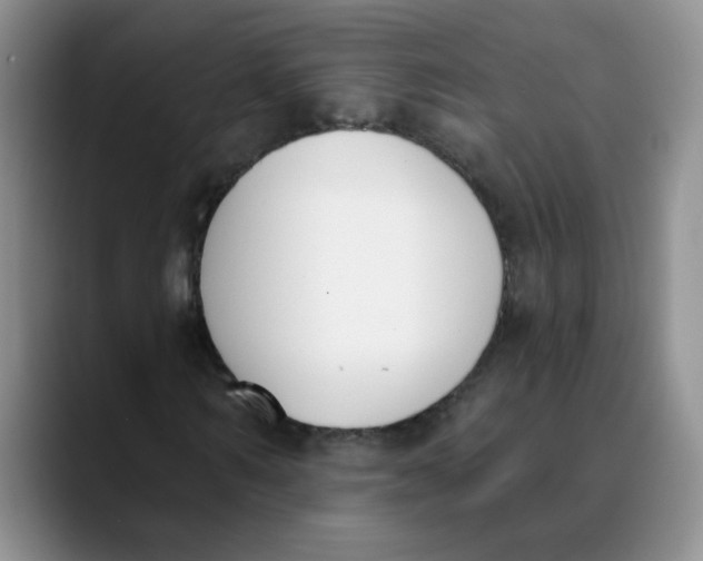 X0000089830962200707191823