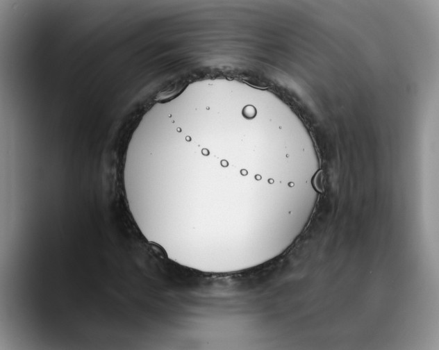 X0000089830968200707191823