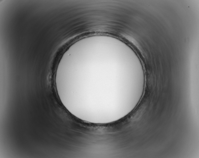 X0000089830971200707191823