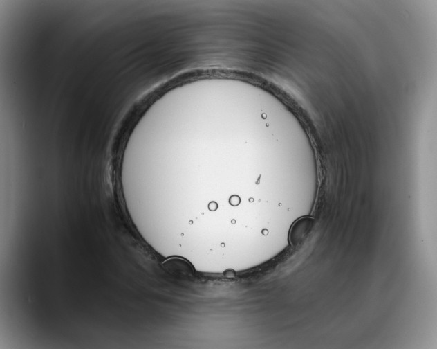 X0000089830974200707191823