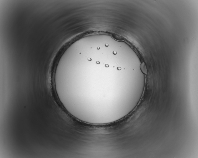 X0000089830976200707191823