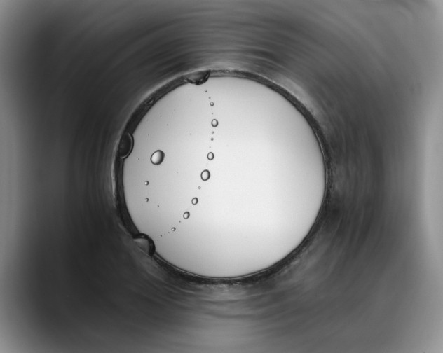 X0000089830980200707191823