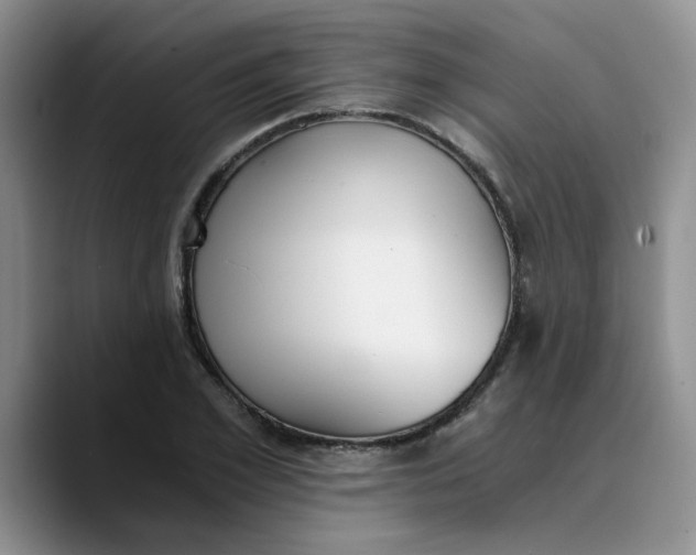 X0000089830981200707191823