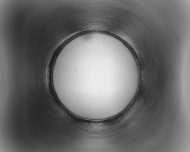 X0000089830983200707191823