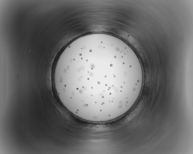 X0000089830986200707191823