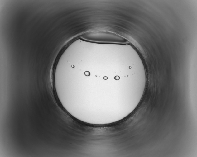 X0000089830988200707191823