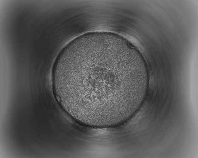 X0000089830990200707191823