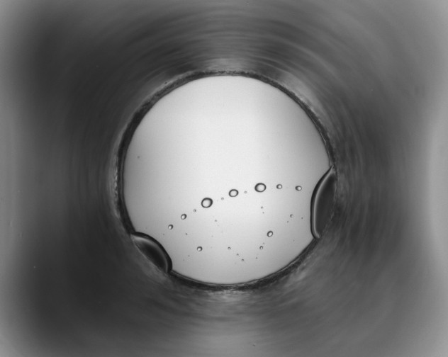 X0000089830992200707191823