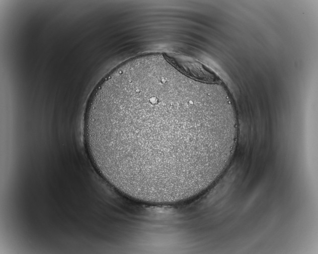 X0000089830994200707191823