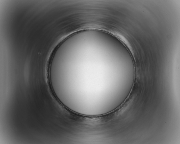 X0000089830997200707191823