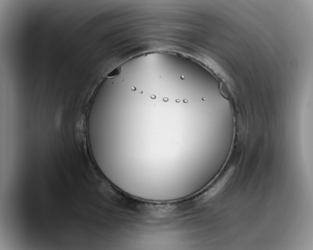 X0000089831001200707191822