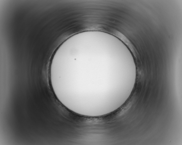 X0000089831002200707191822