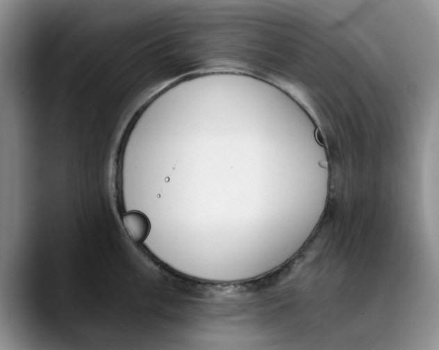 X0000089831003200707191822