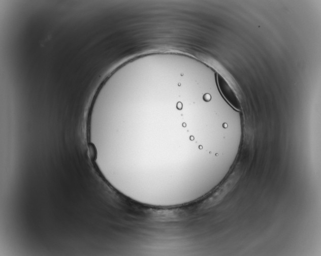 X0000089831004200707191822