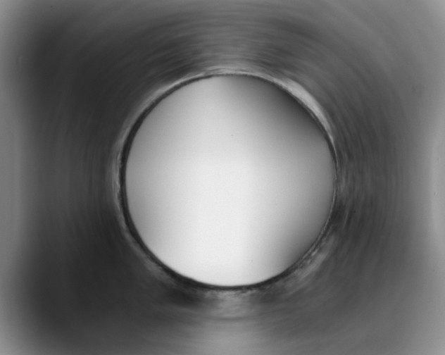 X0000089831005200707191822