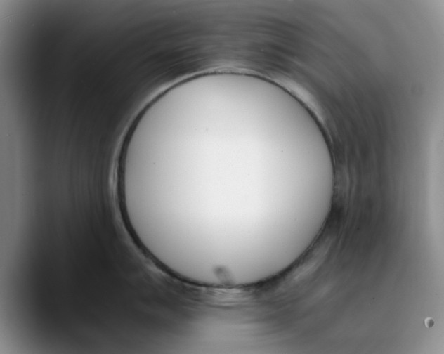 X0000089831007200707191822