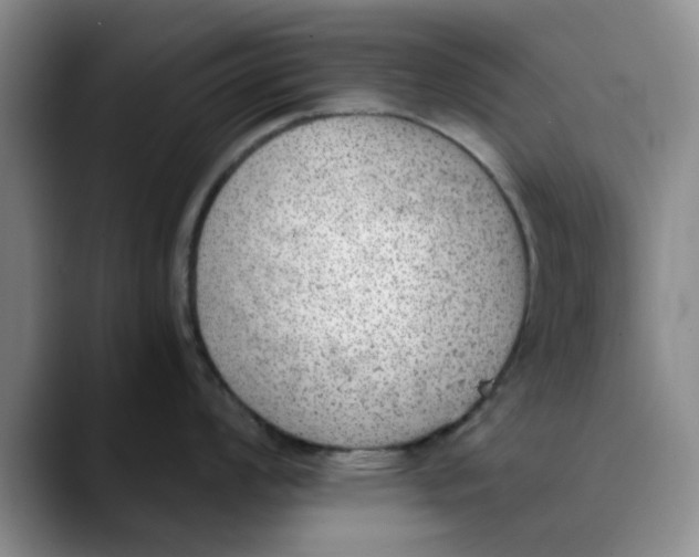 X0000089831008200707191822