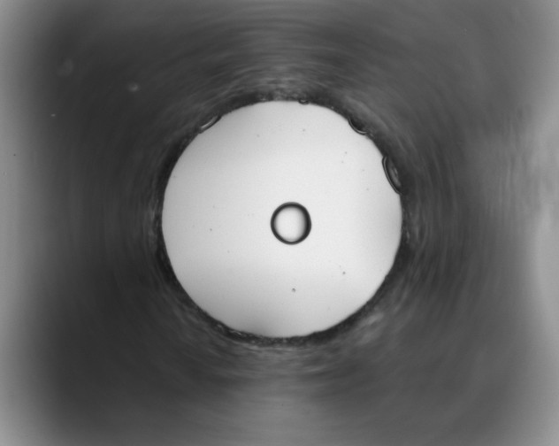 X0000089831010200707191822