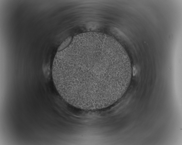 X0000089831011200707191822