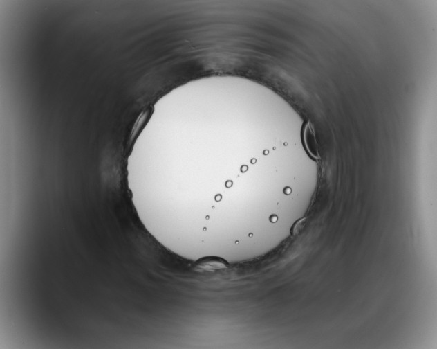 X0000089831012200707191822