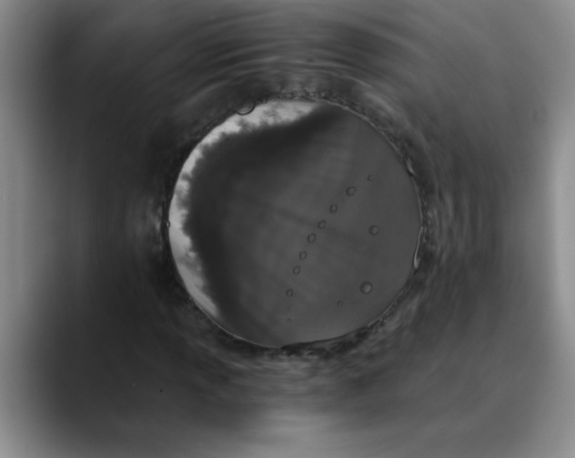 X0000089831013200707191822