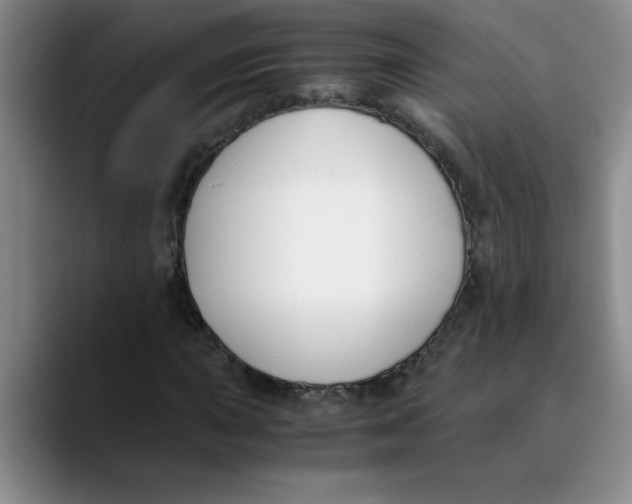 X0000089831015200707191822