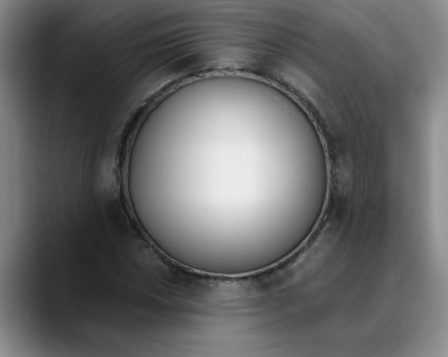 X0000089831018200707191822