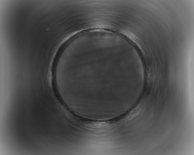 X0000089831024200707191822