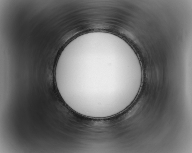 X0000089831025200707191822