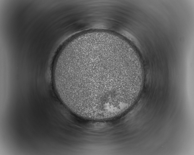 X0000089831027200707191822