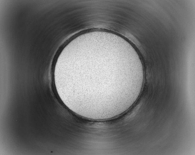 X0000089831028200707191822