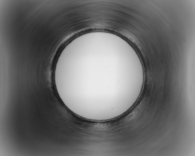 X0000089831029200707191822