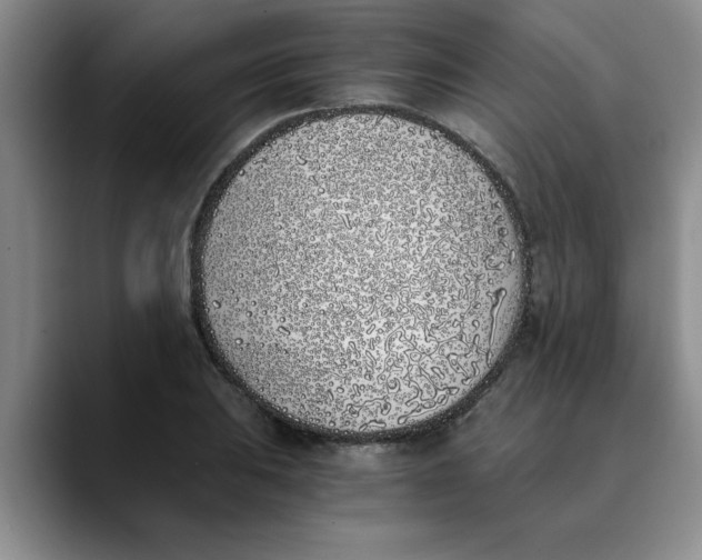 X0000089831031200707191822