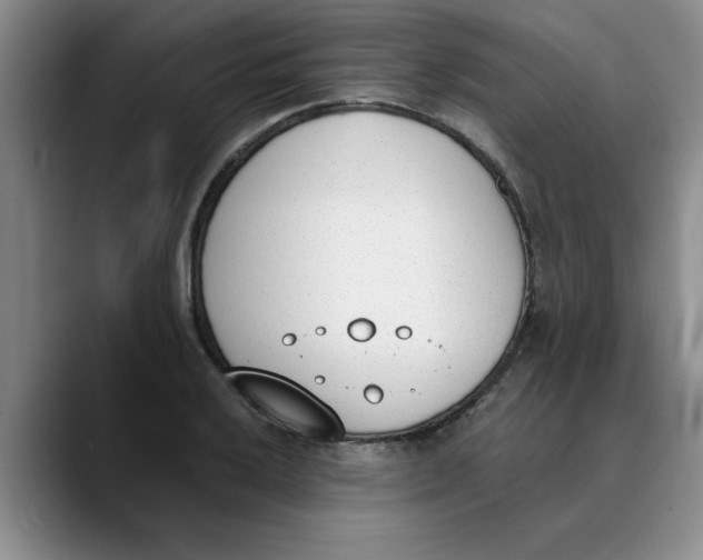 X0000089831032200707191822