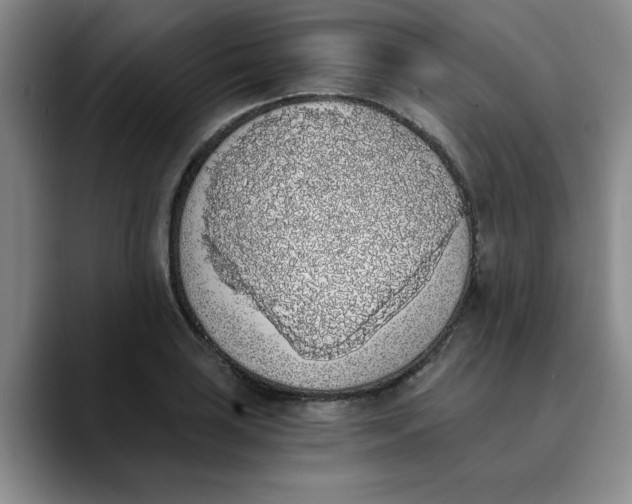 X0000089831035200707191822