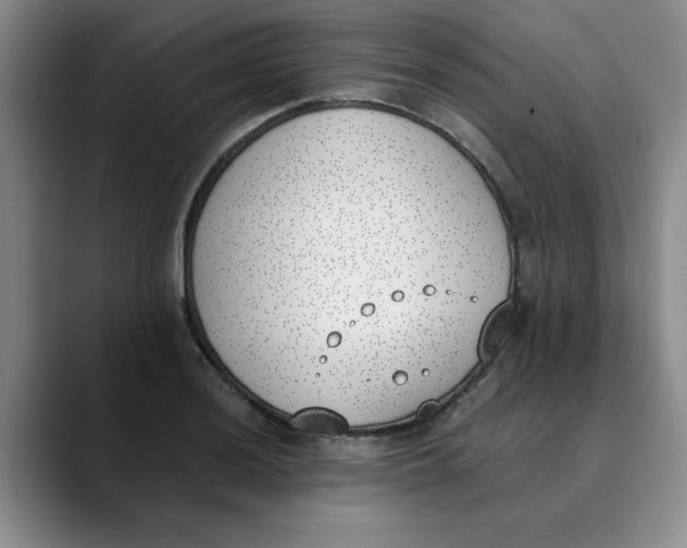 X0000089831036200707191822