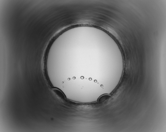 X0000089831037200707191822